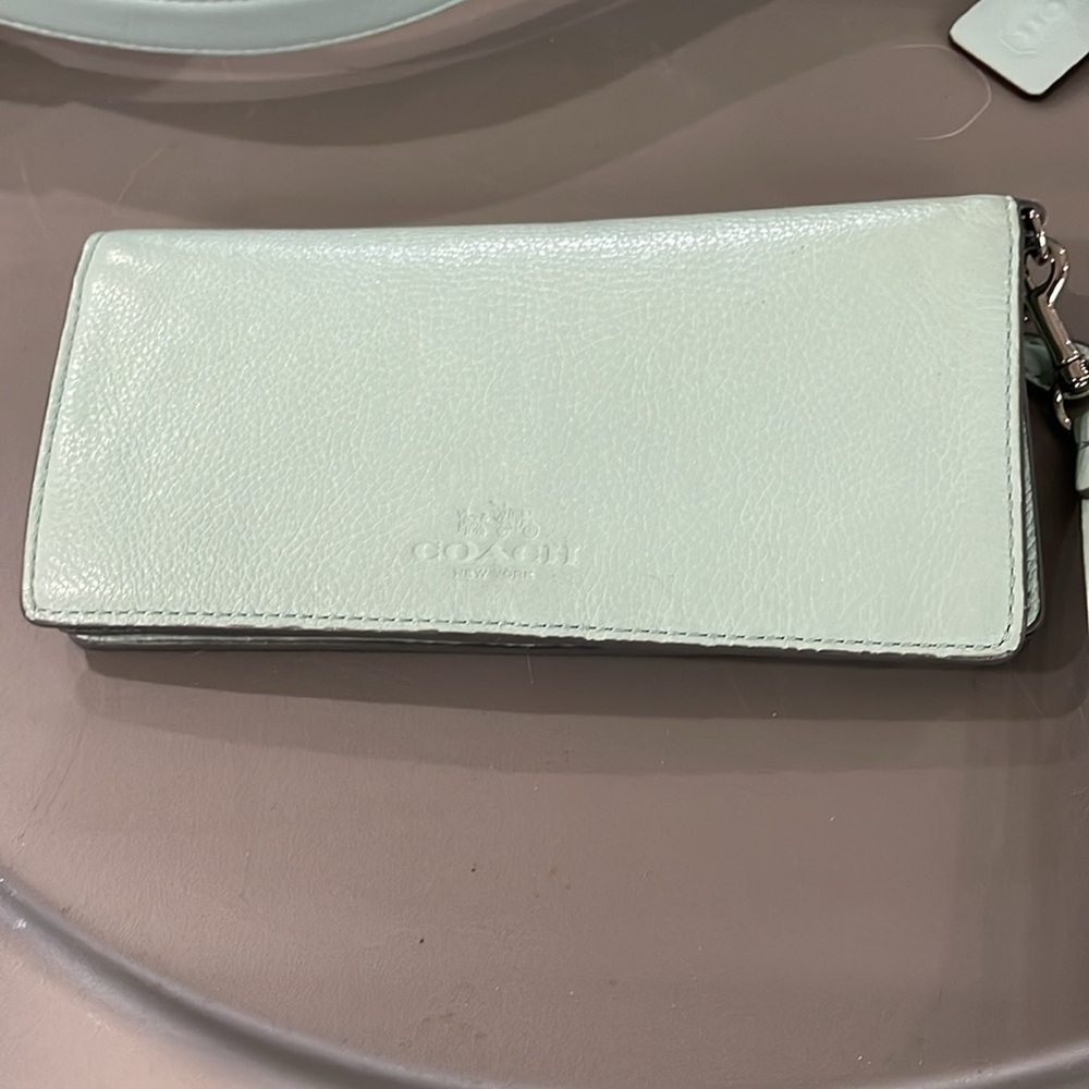 Mint Green Coach Legacy Leather Courtenay Crossbody Handbag Purse - Picture 4 of 6